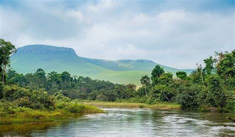 Welcome to Sankuru Nature Reserve in DR Congo | Rwanda Gorilla Safaris