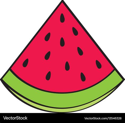 Watermelon fresh fruit drawing icon Royalty Free Vector