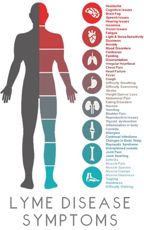 What Having Lyme Disease Taught Me About Love | Lyme disease awareness, Lyme disease, Disease ...