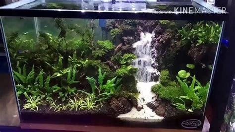 Fish Tank: Fish Tank Waterfall Striking Photo Concept Aquascape ...