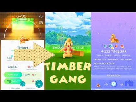 Pokemon Go Shiny Timburr After 85 Raids - YouTube