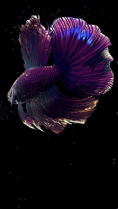 Betta Fish Live Wallpaper FREE für Android - APK herunterladen