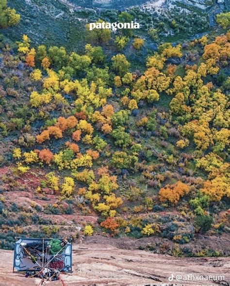 an aerial view of the mountains with trees in fall colors and text that ...