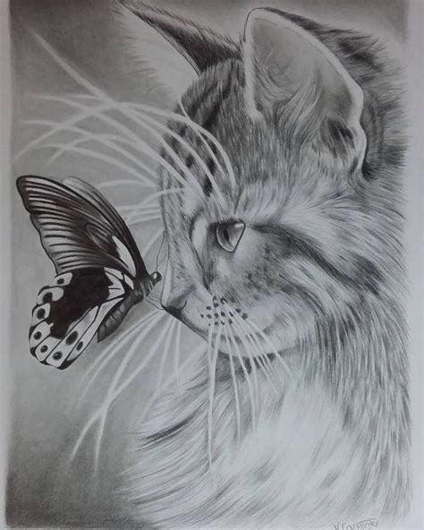 Cat and Butterfly A4 Print | Realistic animal drawings, Pencil drawings of animals, Animals