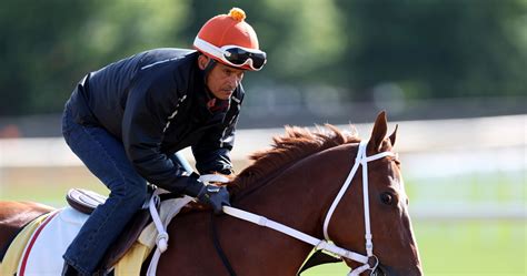 Preakness 2023: Entries, Contenders, Odds and Lineup Analysis | News ...