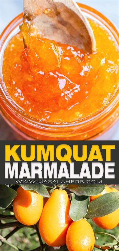 Kumquat Marmalade Recipe [+VIDEO] 🥭 MasalaHerb.com