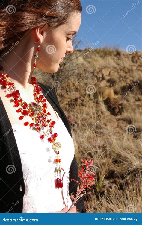 African Gypsy 3 Stock Photography - Image: 12135812