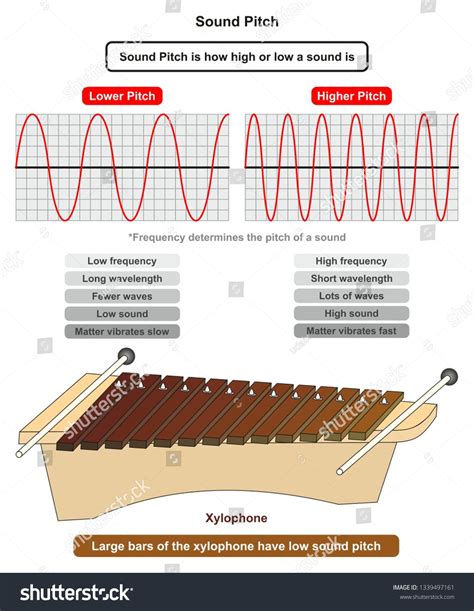 Sound Pitch infographic diagram showing comparison of high and low frequency sound waves also ...