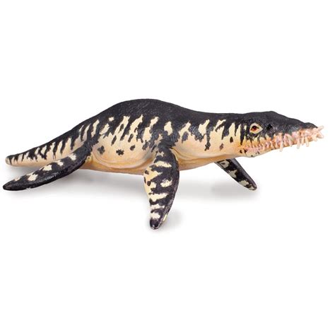 Liopleurodon Model (Pliosaur)