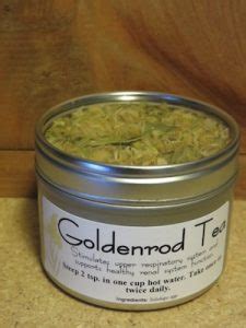 Buy Goldenrod Tea: Benefits, Side Effects, How to Make