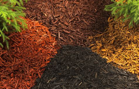 Natural & Colored Mulch | Mike's Mulch & Stone | Wilmington, NC