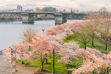 12 STUNNING Parks in Portland, Oregon (Local's Guide)