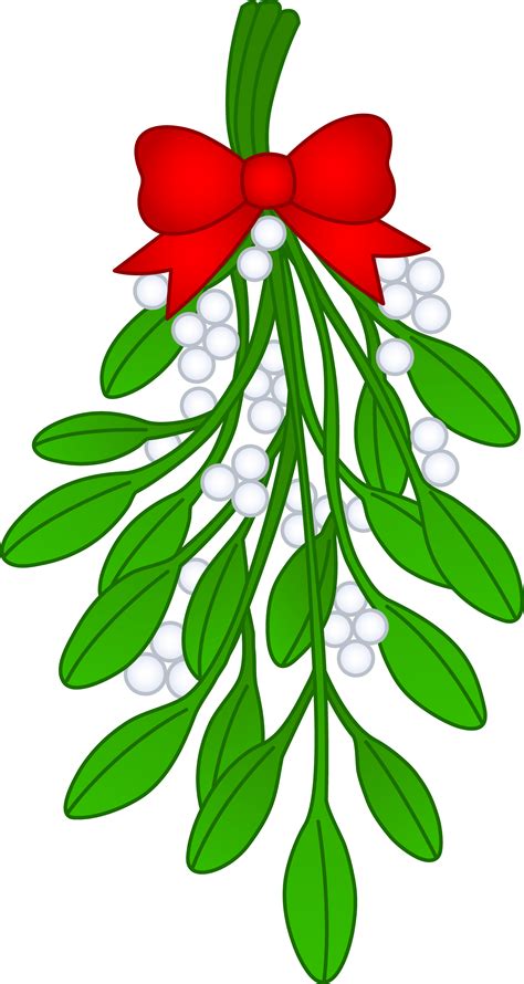 Mistletoe Drawing | Mistletoe drawing, Mistletoe clipart, Mistletoe images
