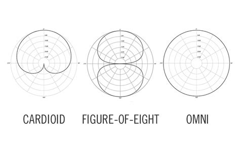 Microphone Directionality and Polar Pattern Basics - Shure Europe