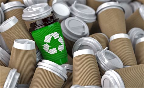 The Role of Packaging Recyclability in the Circular Economy