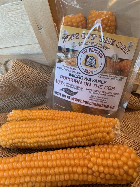 2 Pack Popcorn on the Cob – The Popcorn Barn