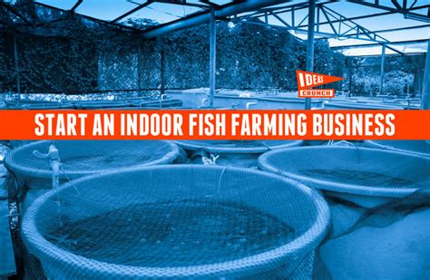 Start An Indoor Fish Farming Business | Farming business, Fish farming ...