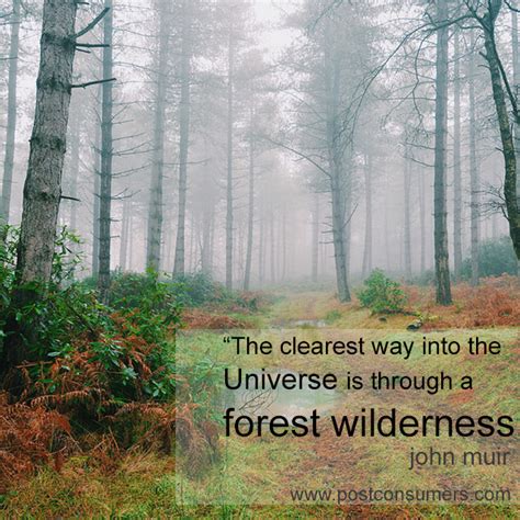 Favorite John Muir Quotes: The Universe and the Forest - Postconsumers