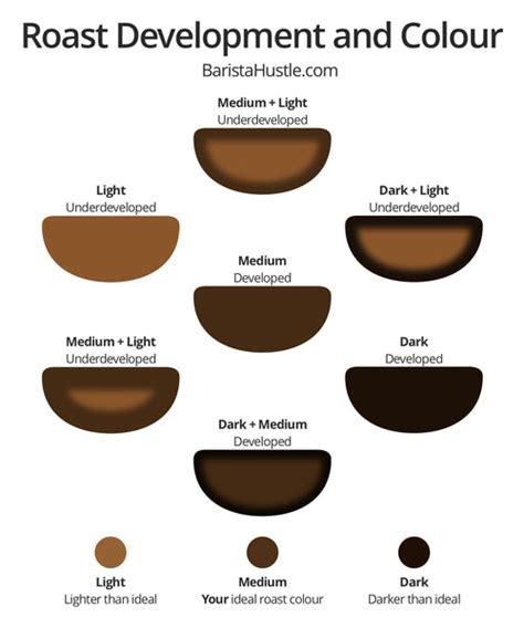 Coffee Roasting Process: The Stages To Which Coffees Are Developed