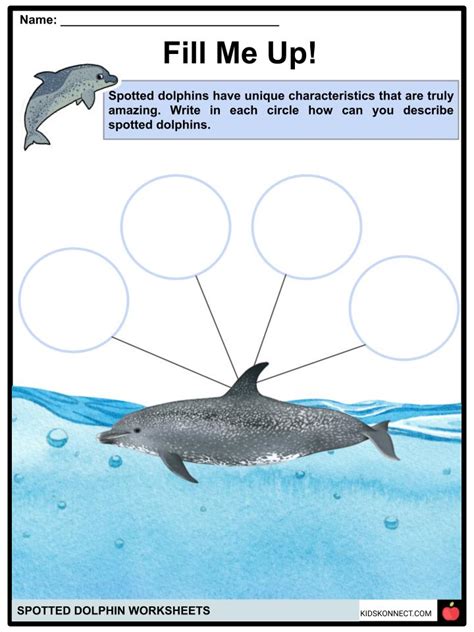 Spotted Dolphin Worksheets & Facts | Habitat and Conservation