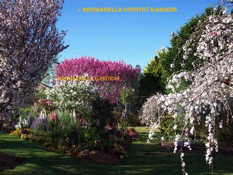 Toowoomba Carnival of Flowers