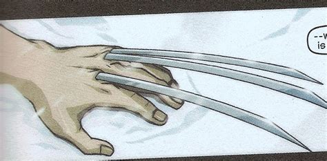 Wolverine's claws - Wolverine Photo (2329273) - Fanpop