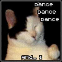 Kitty Cat Dance: Image Gallery (List View) | Know Your Meme