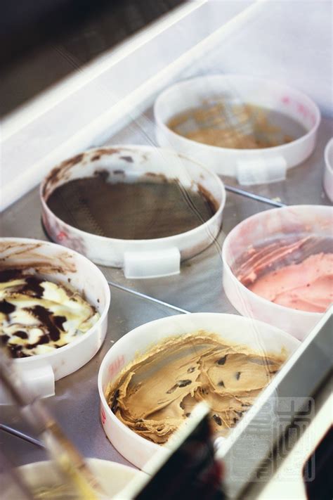 Marco Polo Ice Cream – San Francisco | Oh My Food Coma!