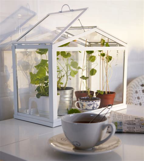 IKEA Socker - Indoor Miniature Greenhouse - The Green Head