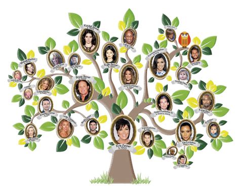 Kardashian Family Tree gets Reveal-ed in Kardashian Passion special - Showbiz Advertorial ...