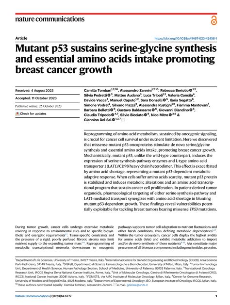 (PDF) Mutant p53 sustains serine-glycine synthesis and essential amino acids intake promoting ...