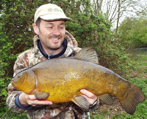 Tench Fishing: The Future - Angling Trust