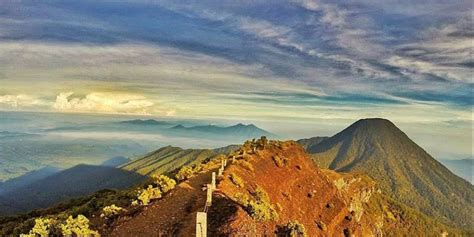 Taman Nasional Gunung Gede Pangrango (TNGGP): Wisata, Lokasi, Luas ...