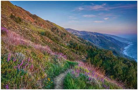 The Most Spectacular Big Sur Hiking Trails Reviewed