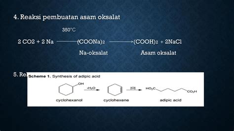 Struktur Asam Oksalat – Sinau