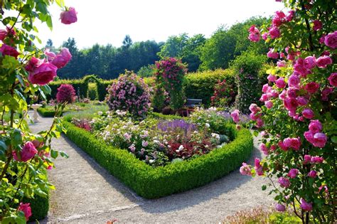 Jardin fleuri