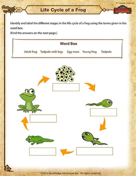 Life Cycle of a Frog - Printable Science Worksheets | Science ...