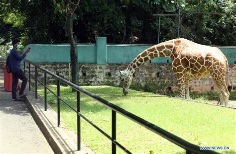 Dehiwala Zoo in Colombo reopens - Xinhua | English.news.cn