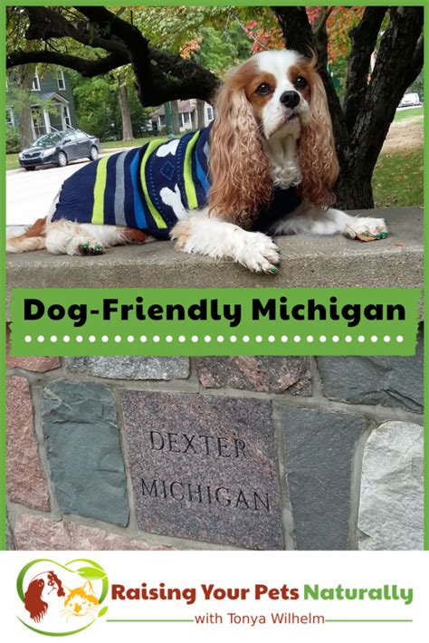 Dog-Friendly Vacations and Hotels: Dog-Friendly Michigan Dog-Friendly Michigan, Pet-Friendly ...