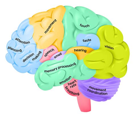 Posters - Queensland Brain Institute - University of Queensland