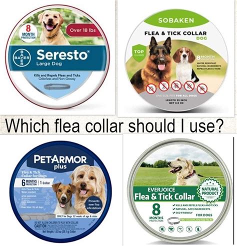 6 Important Things to Consider when Choosing a Flea Collar - Every Creature Counts – Main