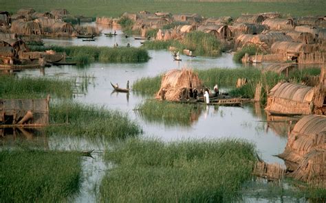 Marshes of the delta of the Tigris-Euphrates River system in southern ...