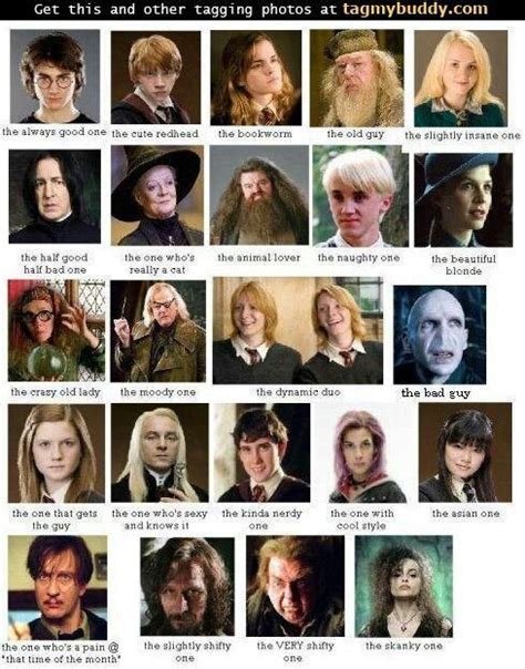 Harry Potter Characters | Harry potter movie characters, Harry potter ...