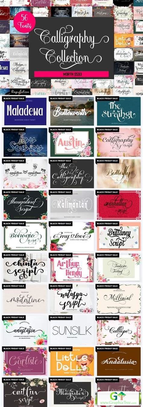 Calligraphy Fonts Collection - 56 Premium Worth [Fonts] - GraphixTree