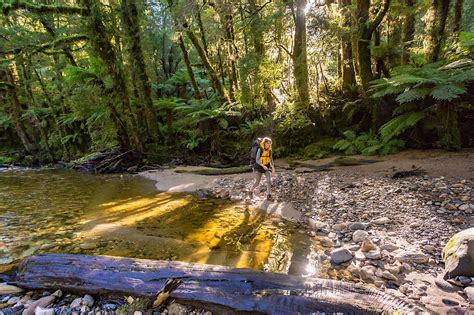 New Zealand's 10th Great Walk, the Paparoa Track, has opened