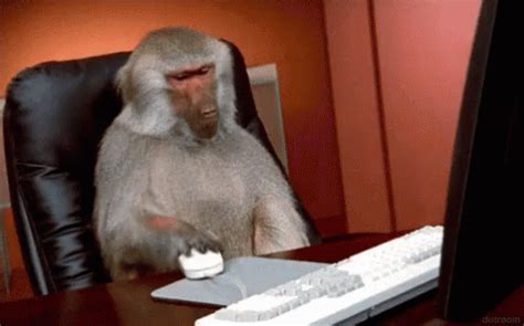 Monkey Pc GIF - Monkey Pc Internet - Discover & Share GIFs