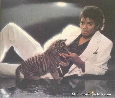 Michael and a cute little tiger - Michael Jackson Photo (27021645) - Fanpop