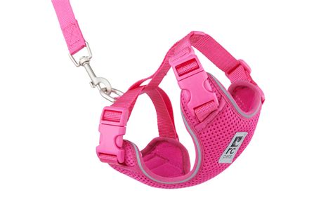 Adventure Kitty Harness |Cat Harness and Leash for Walking