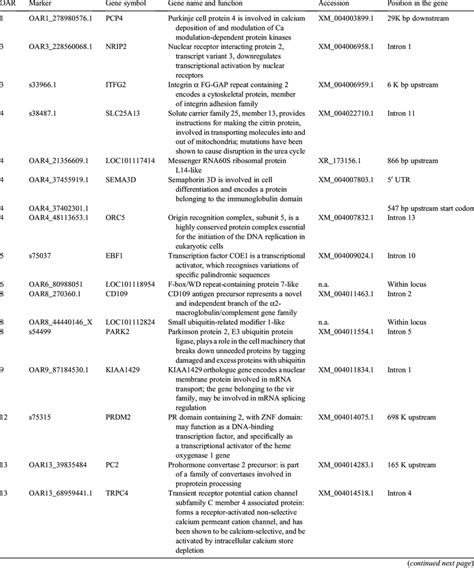 Gene symbol, name and function, accession number and position in the... | Download Table