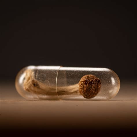 Psilocybin's anti-depressant effects can last for weeks, study finds